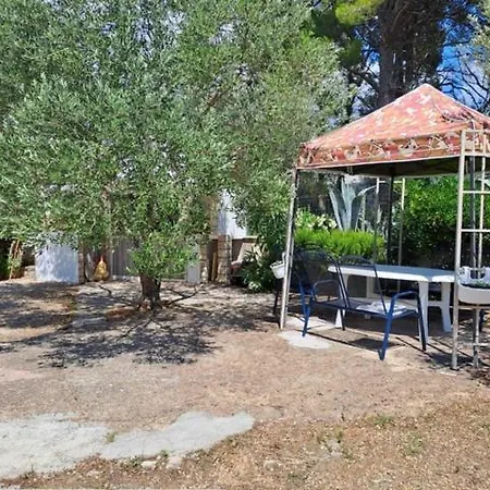Dana Apartment
